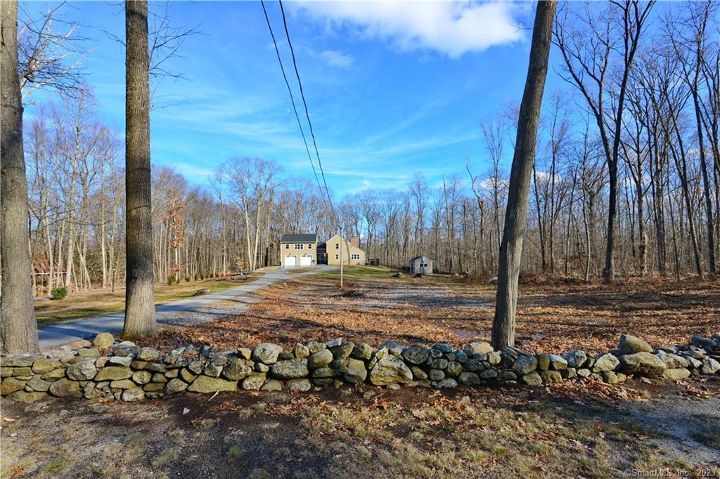 185 Deerfield Road Pomfret, CT 06259 - Photo 1 of 1 a view of a tree in the middle of a yard