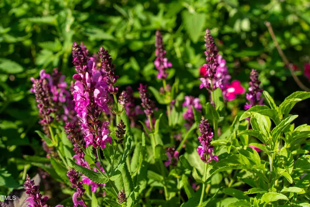 a kitchen with stainless steel appliances a stove a sink and a refrigerator