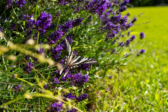 a dining room with furniture and large windows