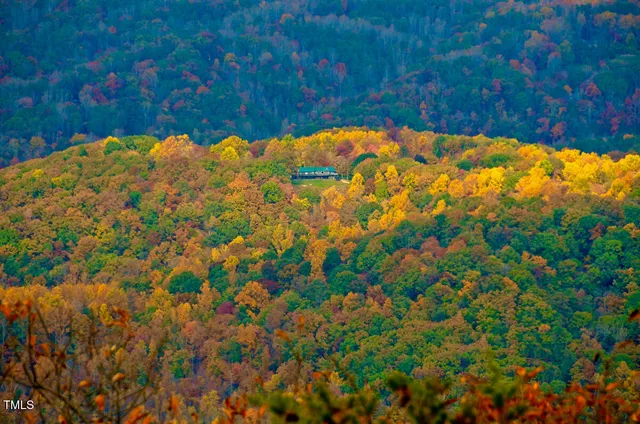 $6,000 | 0 Nancy Ella Hollow Road, Westfield, NC 27053