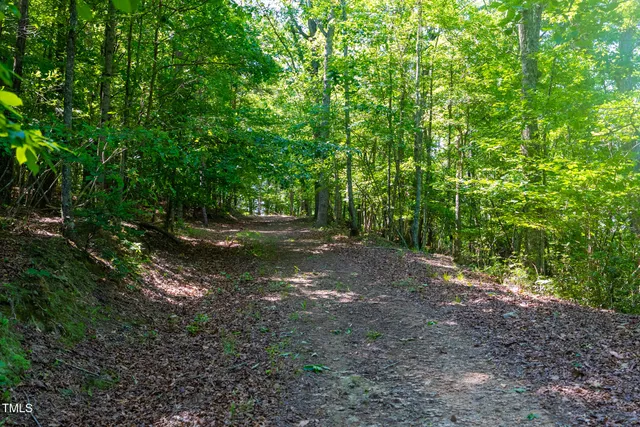 $6,000 | 0 Nancy Ella Hollow Road, Westfield, NC 27053