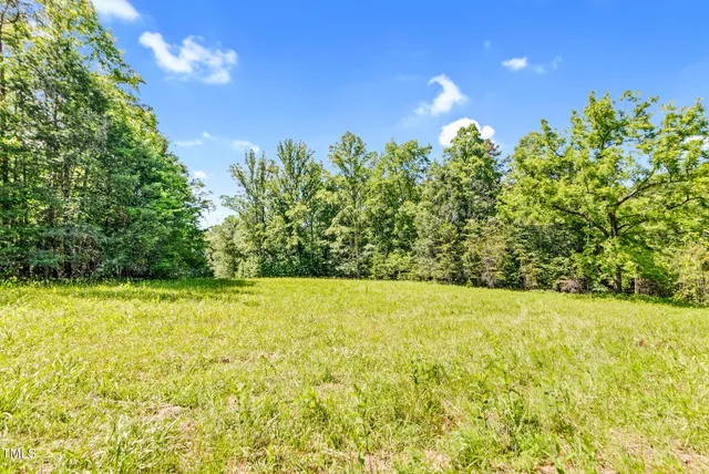$6,000 | 0 Nancy Ella Hollow Road, Westfield, NC 27053