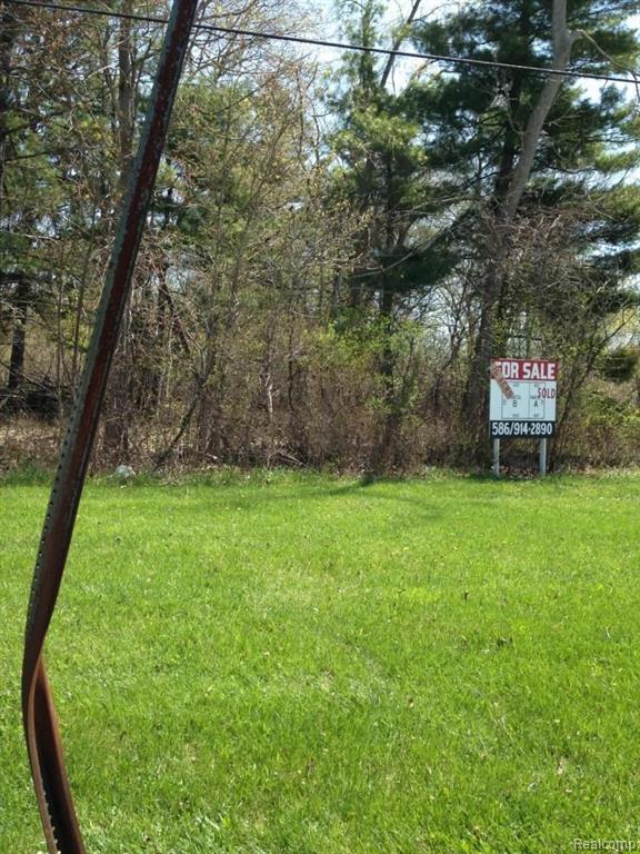 Vac Olmstead Road Rockwood, MI 48173 - Photo 3 of 3