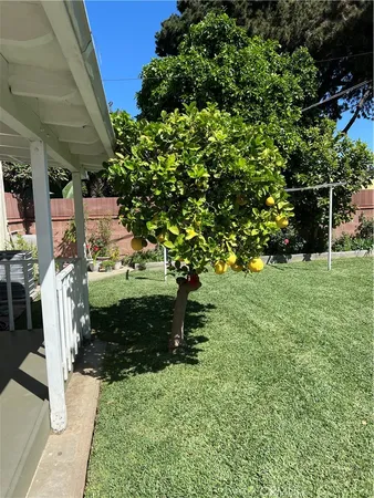 a view of a backyard with pathway