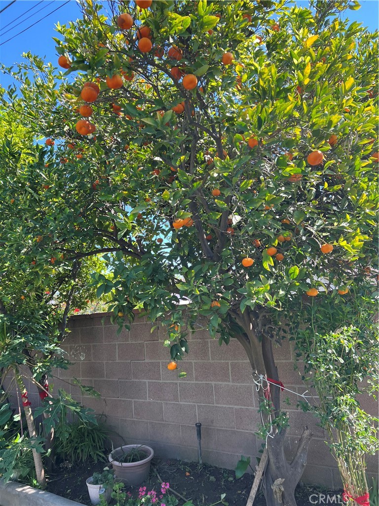 11508 Old River School Road Downey, CA 90241 - Photo 45 of 62