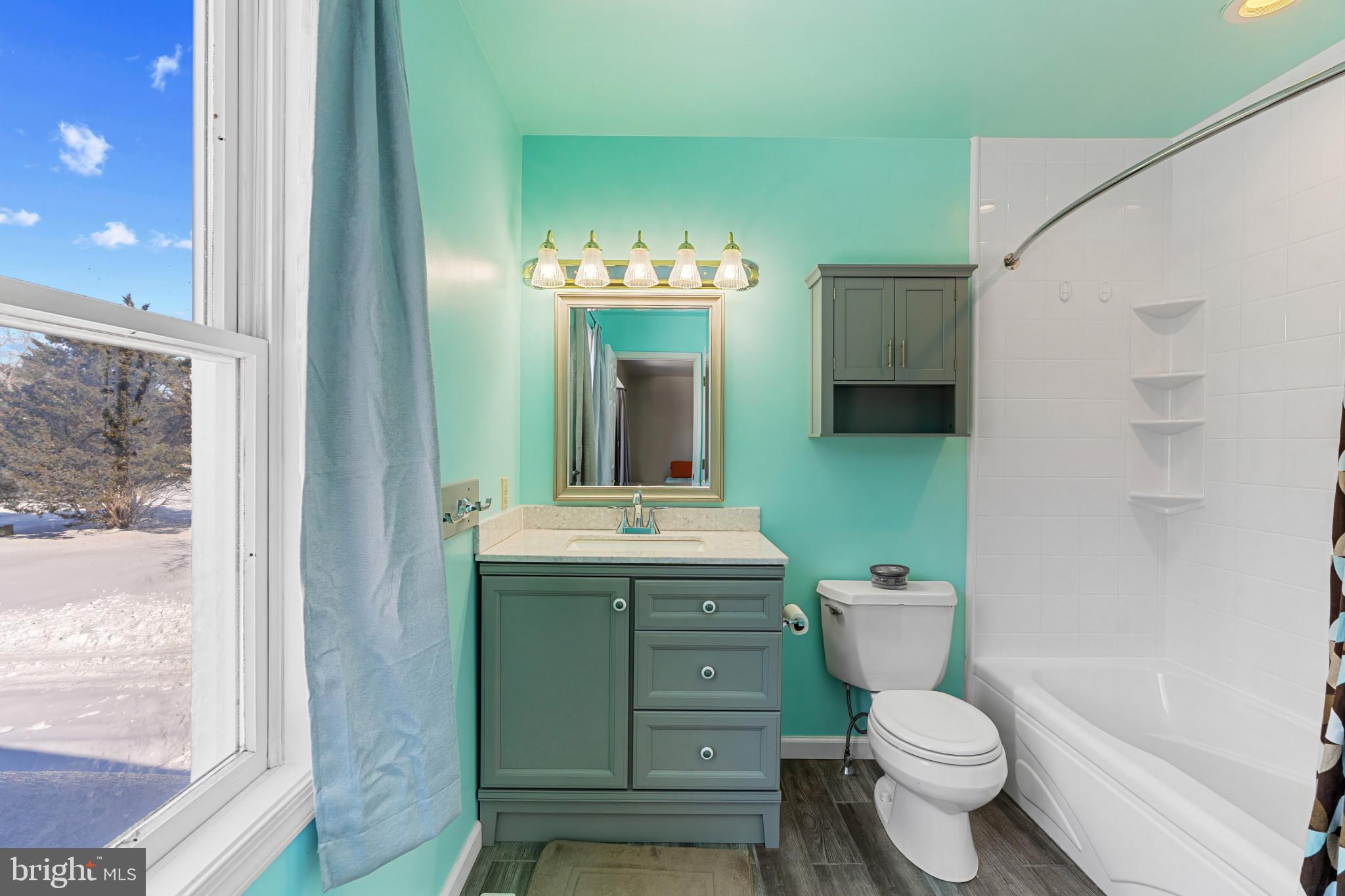 14525 John Peel Road Galena, MD 21635 - Photo 19 of 31 a bathroom with a toilet sink and mirror