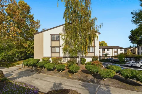 a front view of a house with a yard and potted plants
