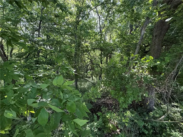 $100,000 | 991 Northwest 1731st Road, Bates City, MO 64011