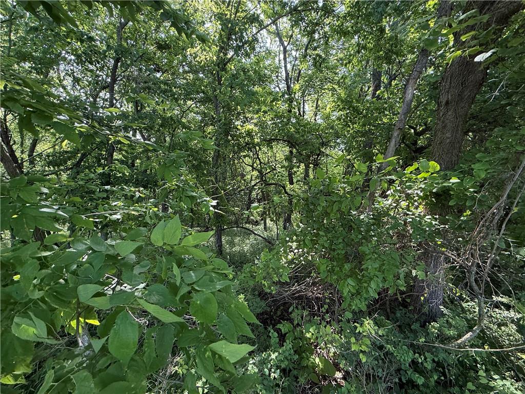 991 Northwest 1731st Road Bates City, MO 64011 - Photo 5 of 6