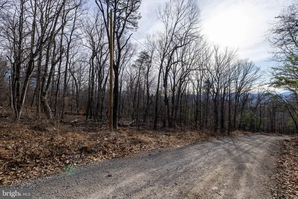 a view of outdoor space with lots of trees