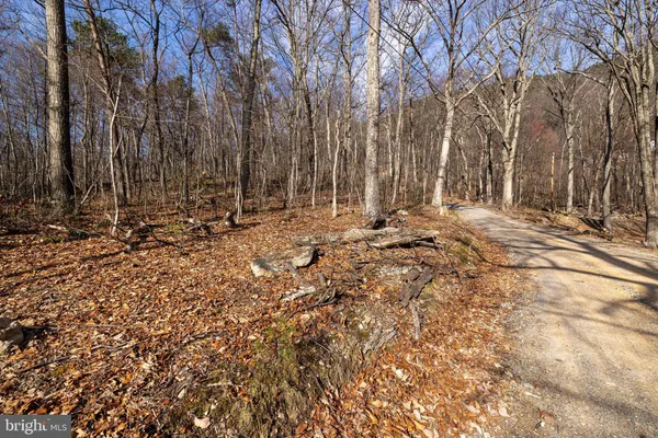 $24,900 | K55-k70 National Forest Access Road, Luray, VA 22835