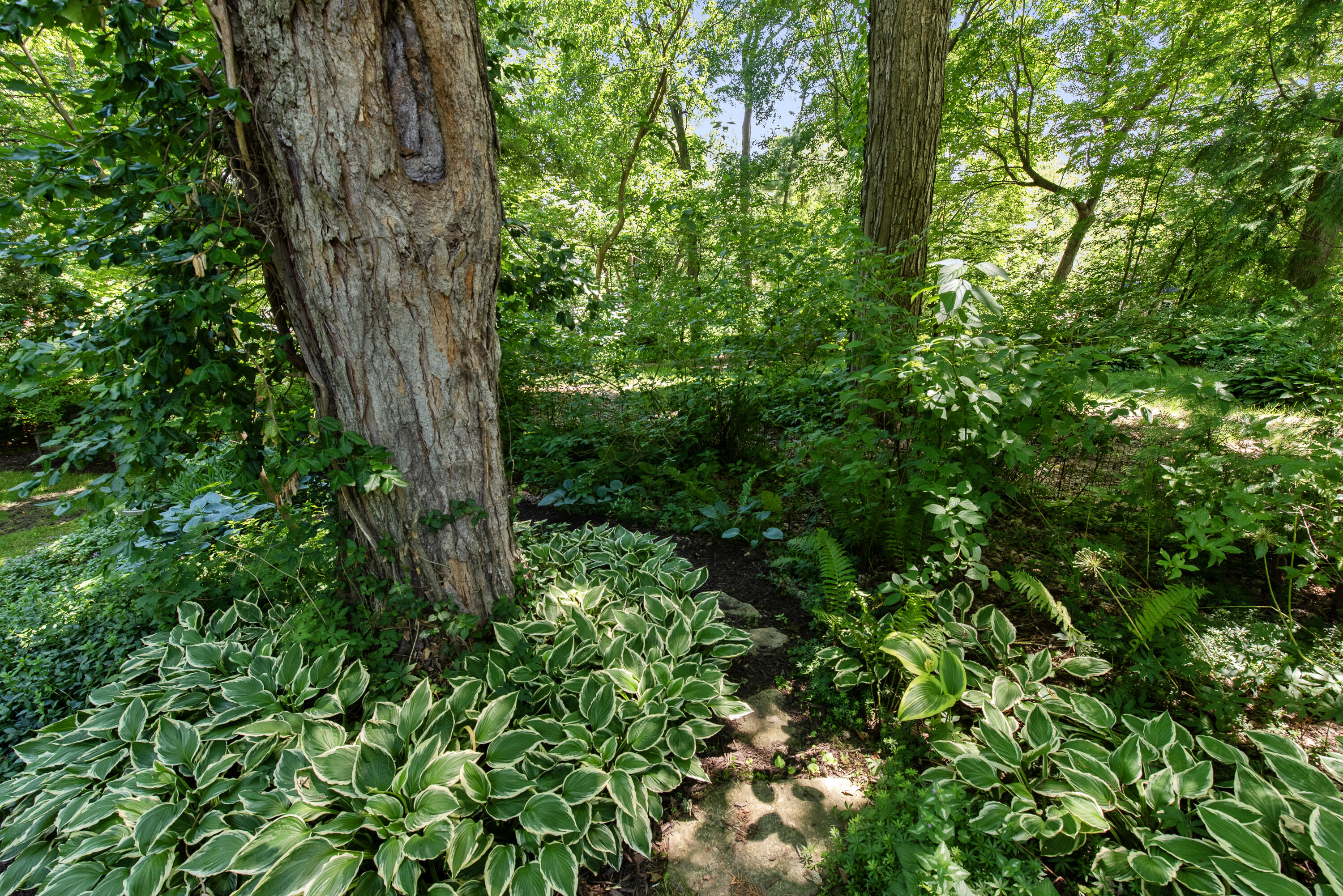 900 Apple Tree Lane Brookfield, WI 53005 - Photo 66 of 75 900 Apple Tree Ln-68