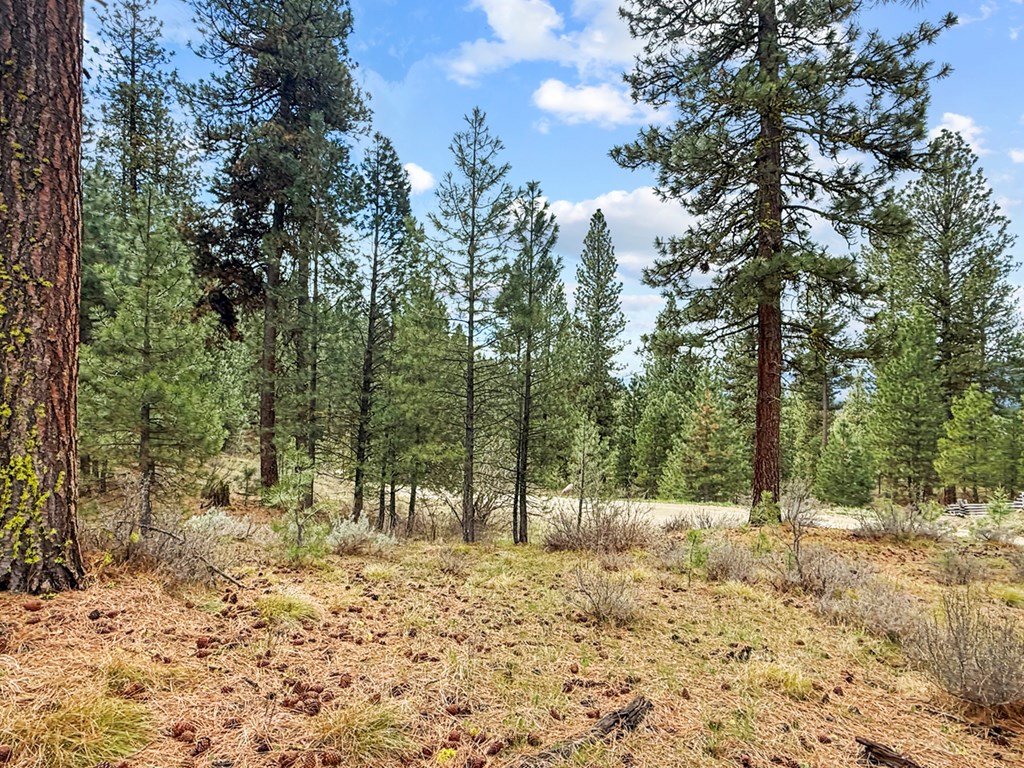 14 San Ignacio Way, Unit 13 Cascade, ID 83611 - Photo 11 of 20 Neighborhood Boast Elk and Deer