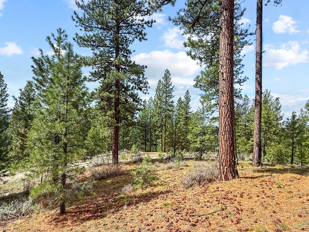 14 San Ignacio Way, Unit 13 Cascade, ID 83611 - Photo 12 of 20 Quiet Isolation Near Recreation