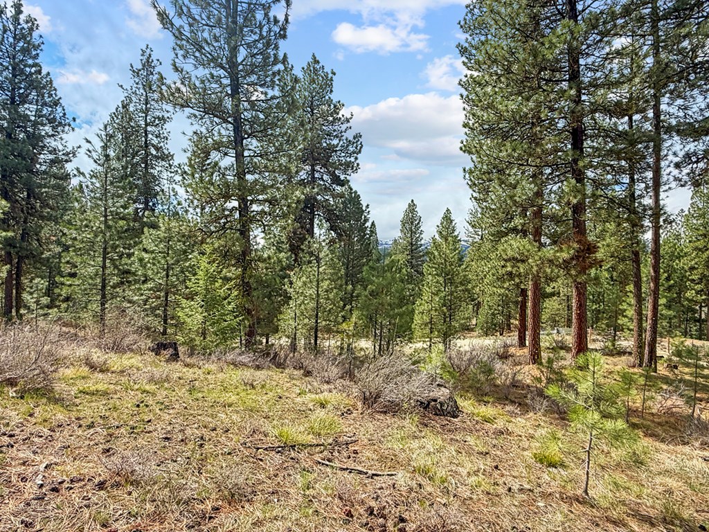 14 San Ignacio Way, Unit 13 Cascade, ID 83611 - Photo 13 of 20 Uphill from Building Site