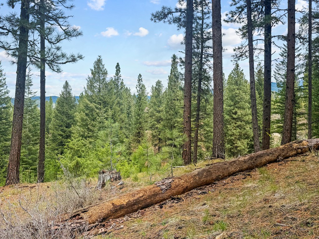 14 San Ignacio Way, Unit 13 Cascade, ID 83611 - Photo 15 of 20 View to Northwest of Mountains