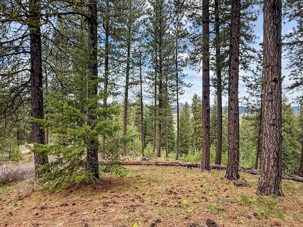 14 San Ignacio Way, Unit 13 Cascade, ID 83611 - Photo 16 of 20 Pre Approved Septic in Place