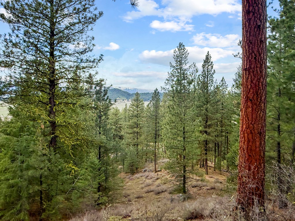 14 San Ignacio Way, Unit 13 Cascade, ID 83611 - Photo 2 of 20 Mountain Backdrop to West of Lot