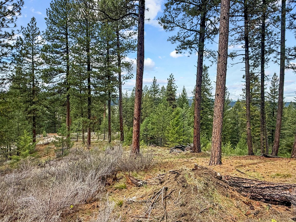 14 San Ignacio Way, Unit 13 Cascade, ID 83611 - Photo 5 of 20 Level Building Area withView