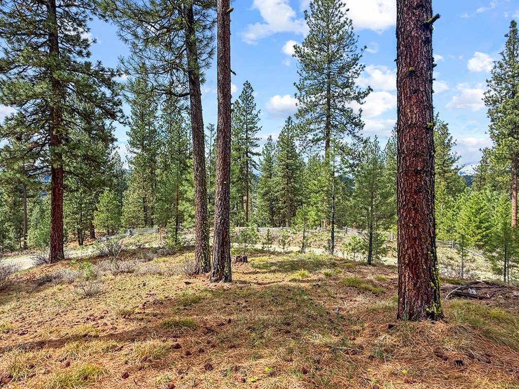 14 San Ignacio Way, Unit 13 Cascade, ID 83611 - Photo 6 of 20 Enjoy Mature Ponderosa Pines
