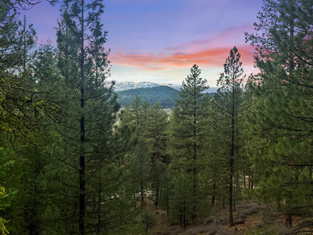 14 San Ignacio Way, Unit 13 Cascade, ID 83611 - Photo 7 of 20 Views Continue as You Climb Out