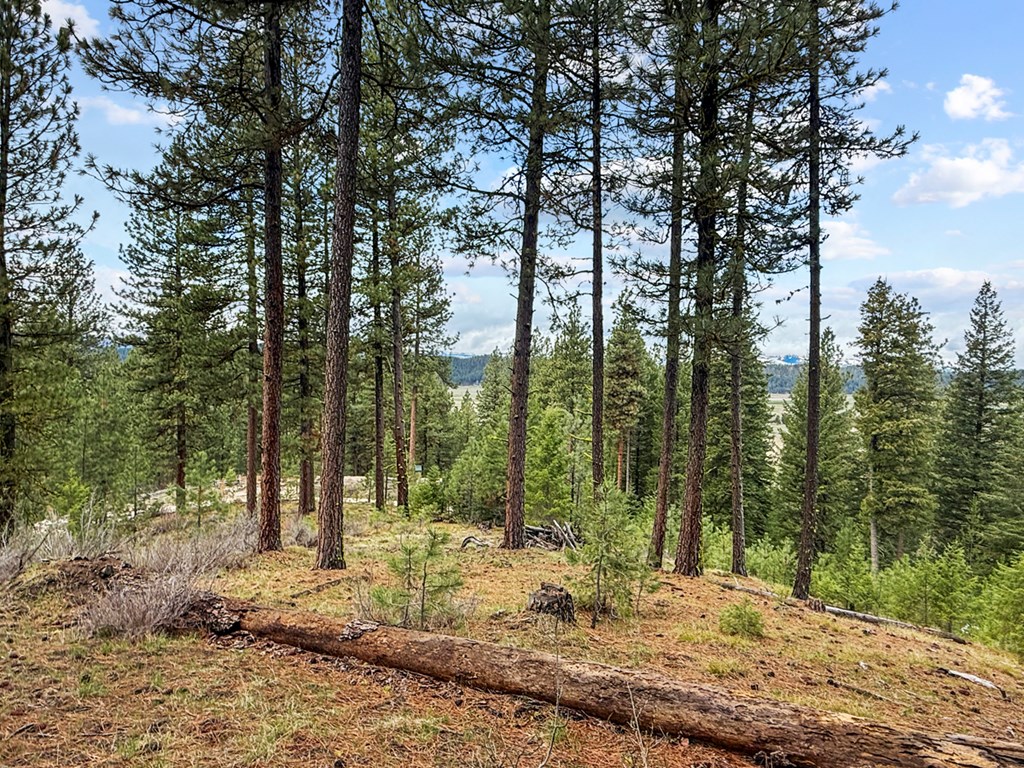 14 San Ignacio Way, Unit 13 Cascade, ID 83611 - Photo 9 of 20 Imagine Your Home Here