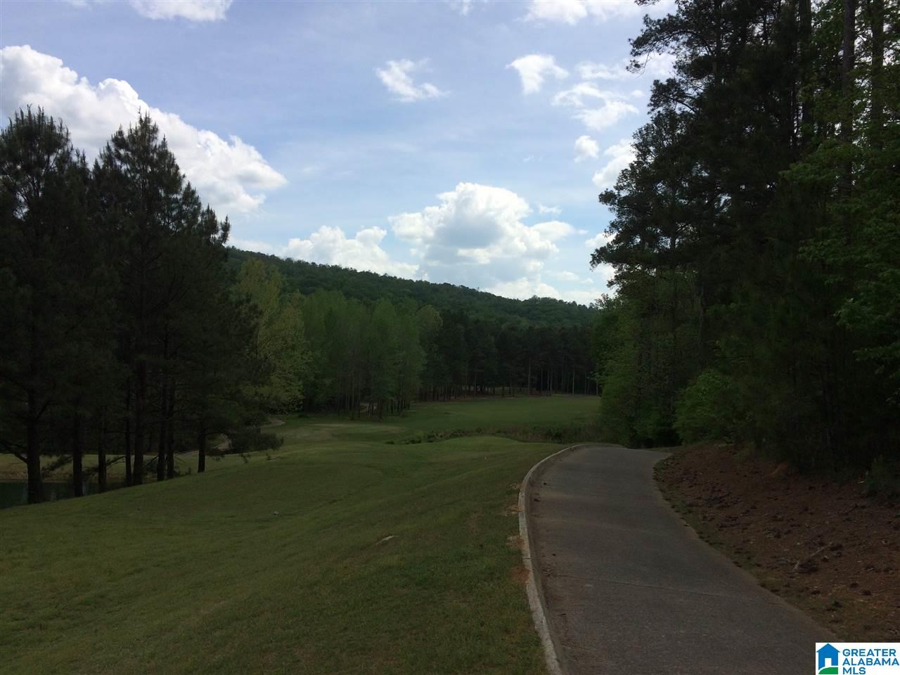 0 Bellerive Circle, Unit 160 Oneonta, AL 35121 - Photo 4 of 19