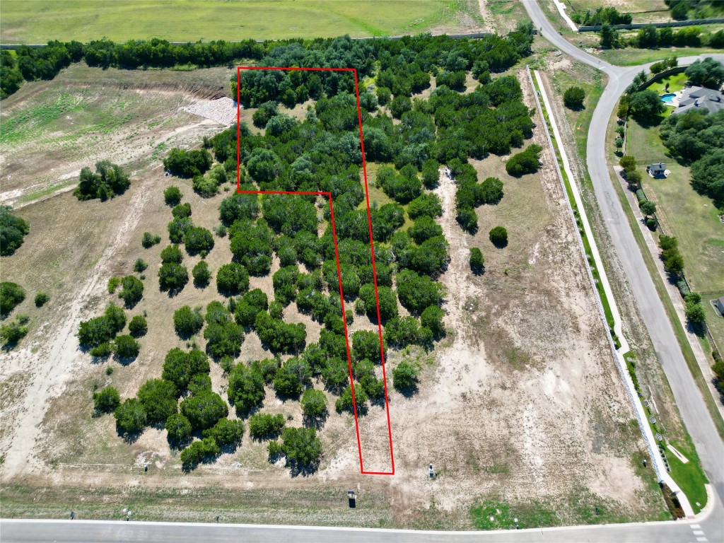 a view of a garden with plants