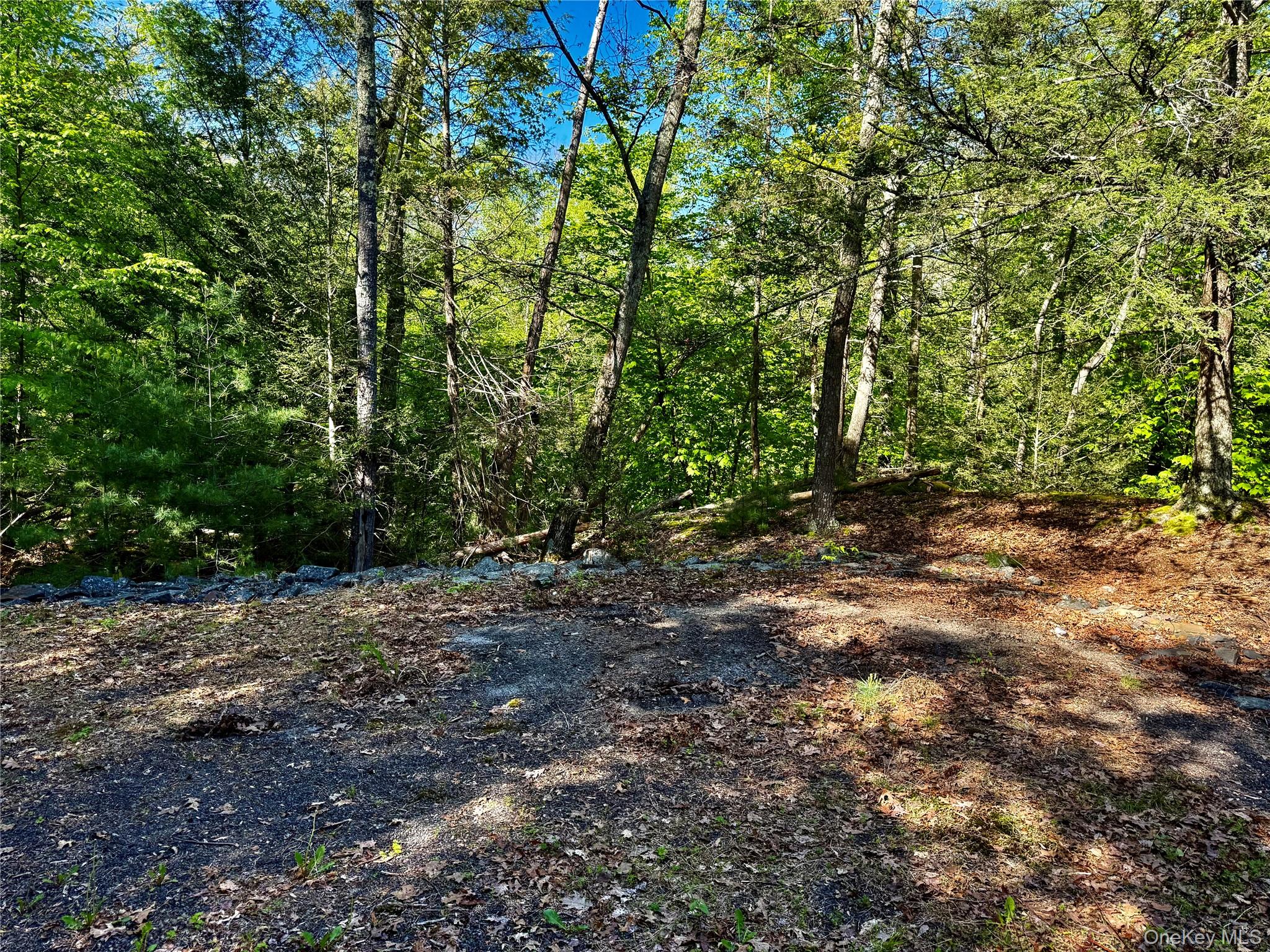 101 Stone Road Hurley, NY 12491 - Photo 11 of 24 a view of a yard with plants and trees