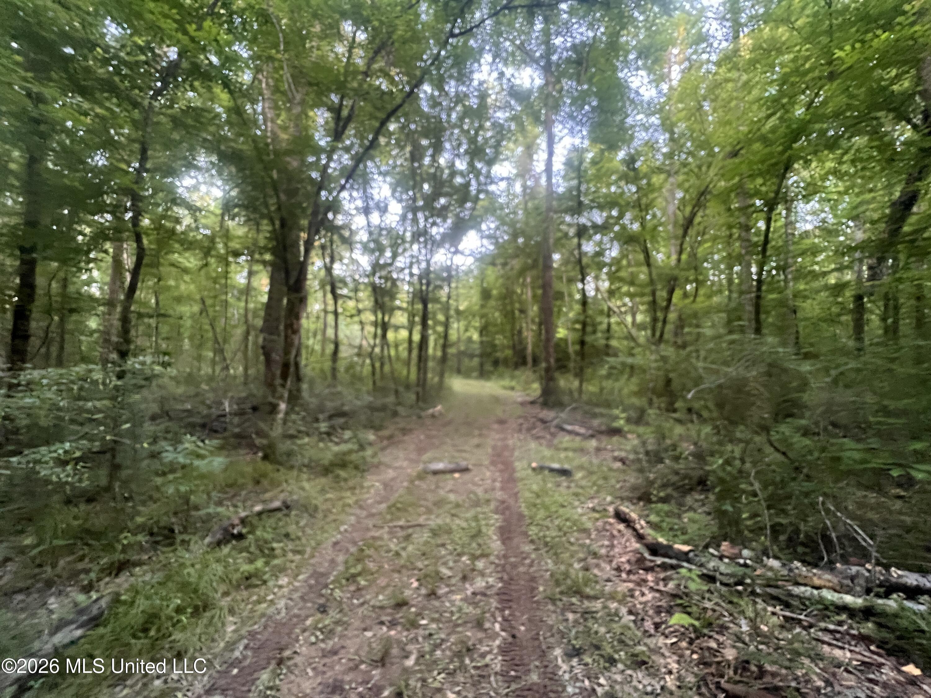 5734 Hebron Road Liberty, MS 39645 - Photo 14 of 32 14.