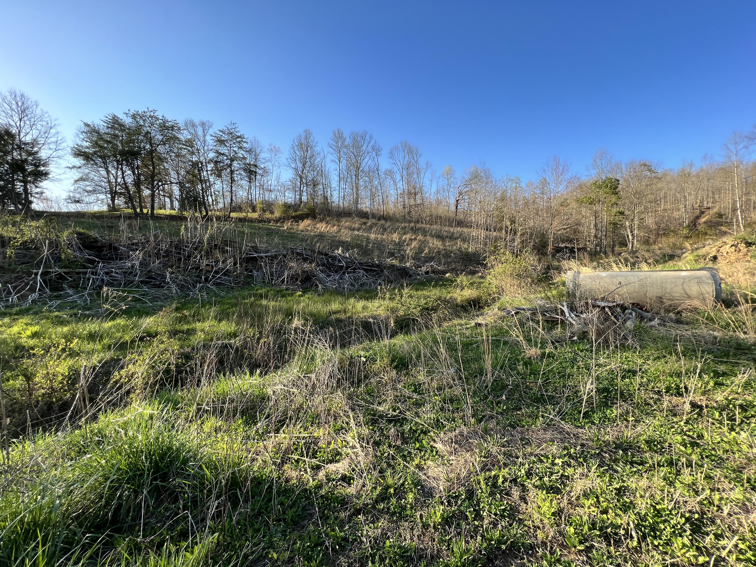 2905 Tidal Wave Road Corbin, KY 40701 - Photo 12 of 37 BDA06BA3-D4E7-4F9D-80EB-D284BE0859DA