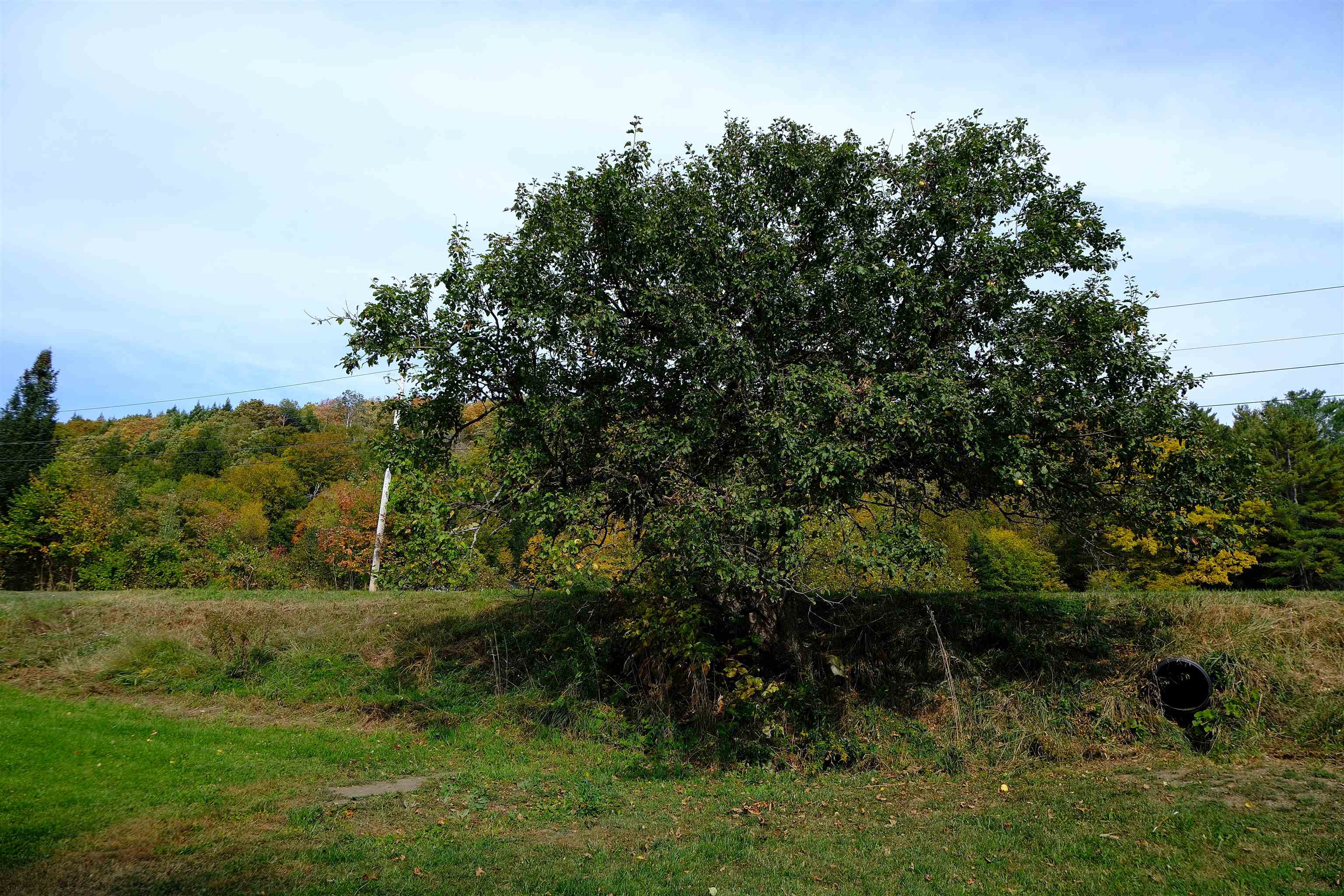 2536 Joes Brook Road Danville, VT 05828 - Photo 39 of 46