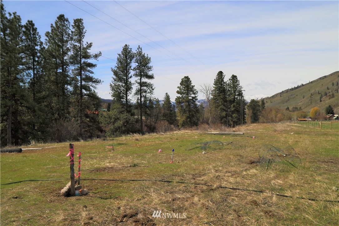 408 Twisp Carlton Road Carlton, WA 98814 - Photo 21 of 24 Gallery Image 21
