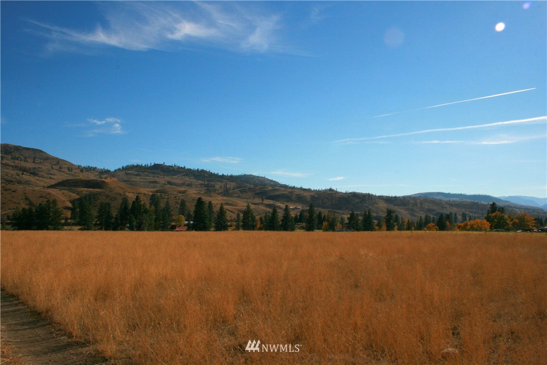 408 Twisp Carlton Road Carlton, WA 98814 - Photo 7 of 24 Gallery Image 7