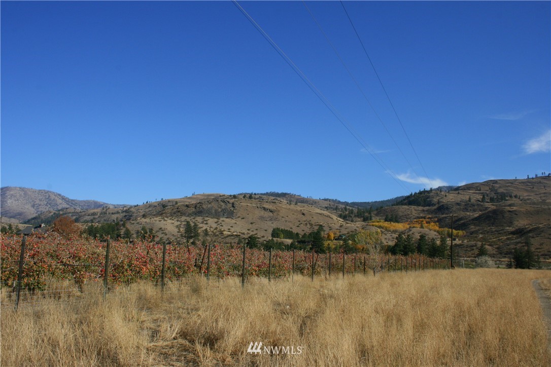 408 Twisp Carlton Road Carlton, WA 98814 - Photo 8 of 24 Gallery Image 8