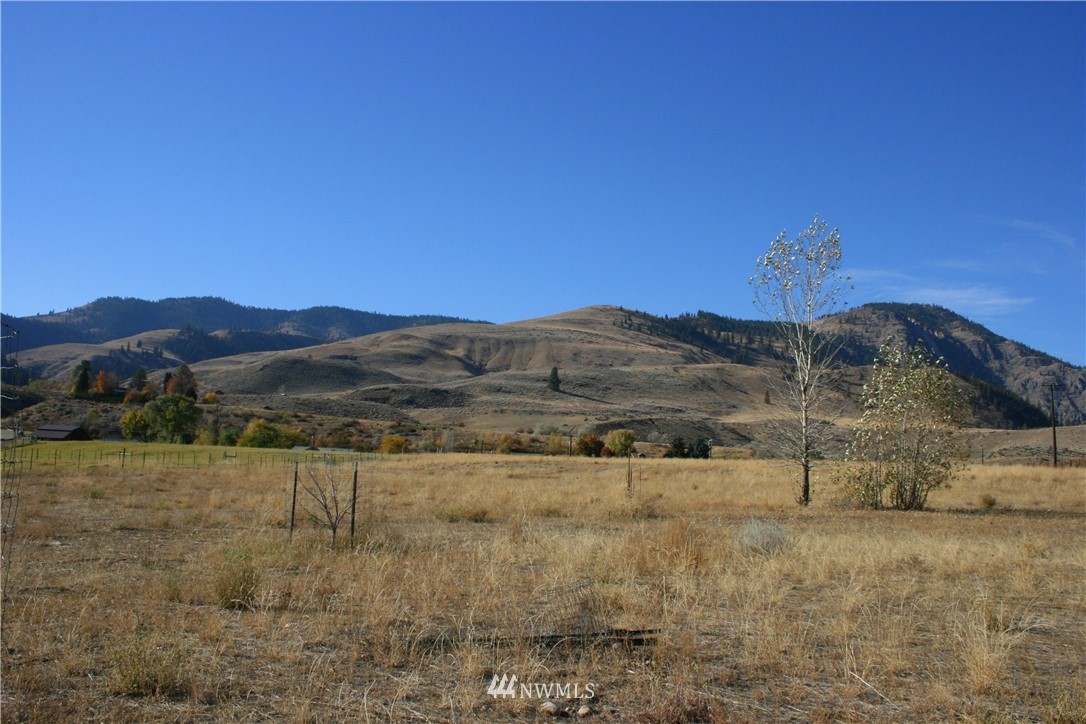408 Twisp Carlton Road Carlton, WA 98814 - Photo 9 of 24 Gallery Image 9