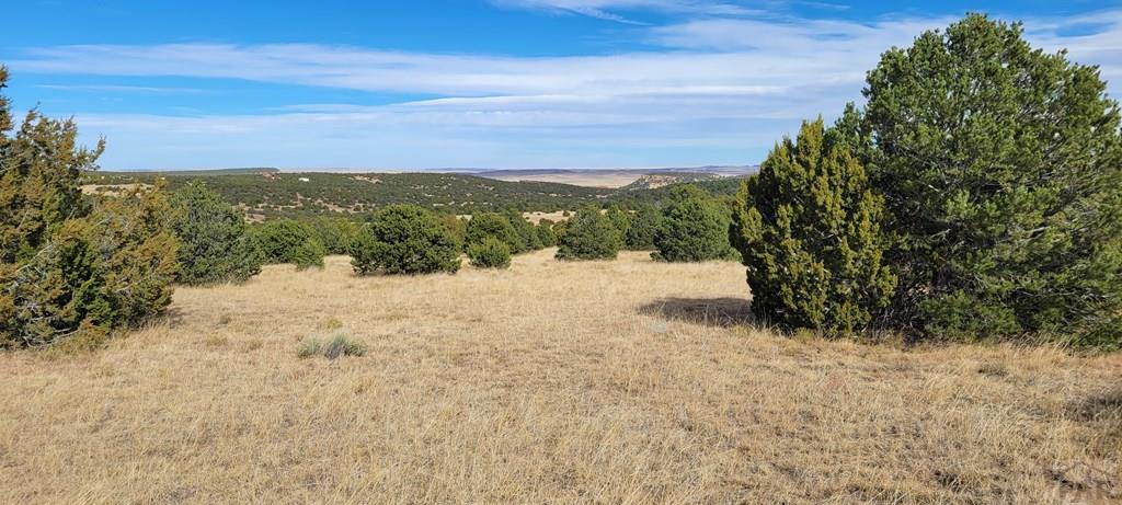 Lot 34 Silver Spur Road Walsenburg, CO 81089 - Photo 18 of 43
