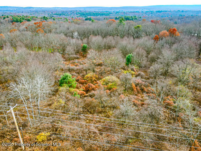 a view of a lot of trees and bushes