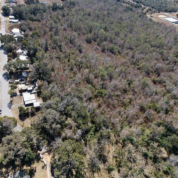 3rd Street Montverde, FL 34756 - Photo 12 of 15