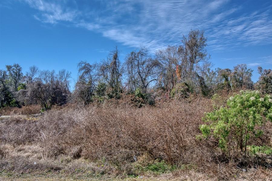 3rd Street Montverde, FL 34756 - Photo 5 of 15