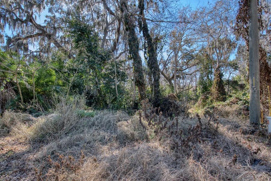 3rd Street Montverde, FL 34756 - Photo 9 of 15