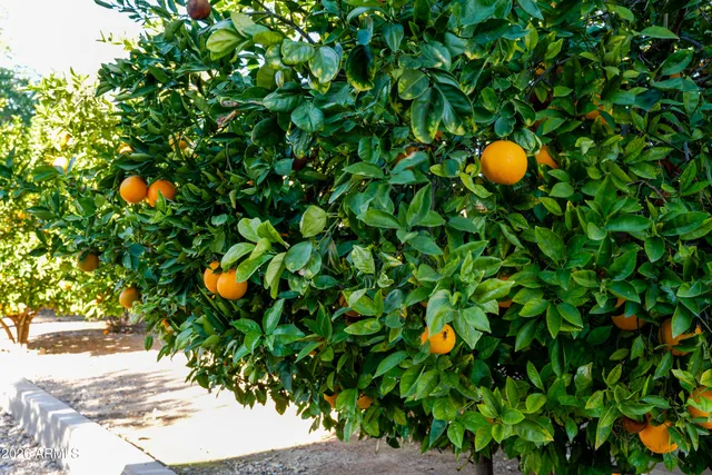 $785,000 | 6788 West Greenbriar Drive, Glendale, AZ 85308