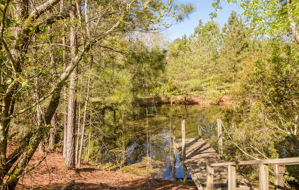 2974 Ulm Road Hephzibah, GA 30815 - Photo 23 of 26