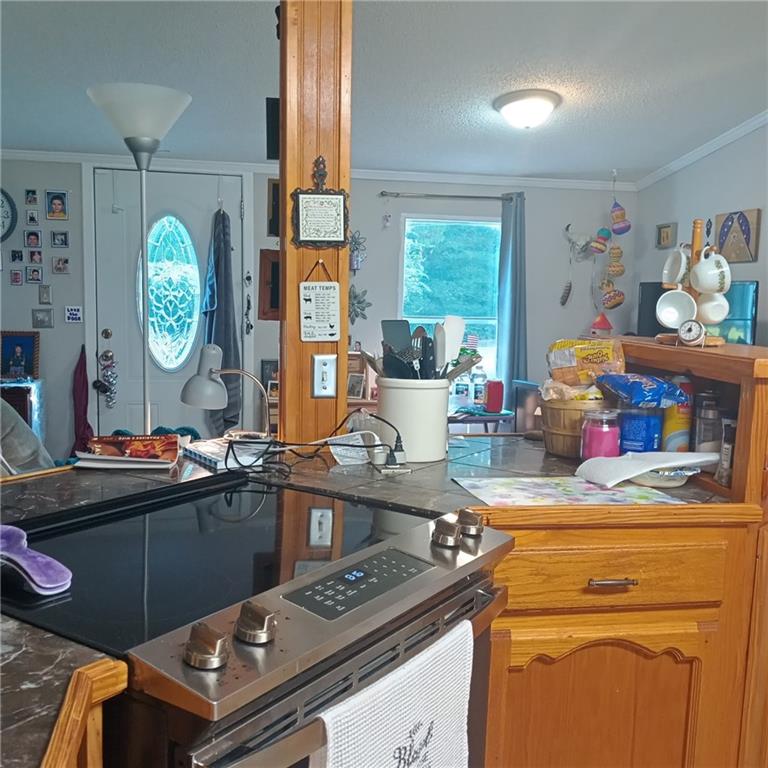 85 Jim Bryant Road Deville, LA 71328 - Photo 13 of 23