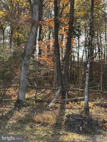 $465,000 | 0 Baines Corner Road, Bealeton, VA 22712