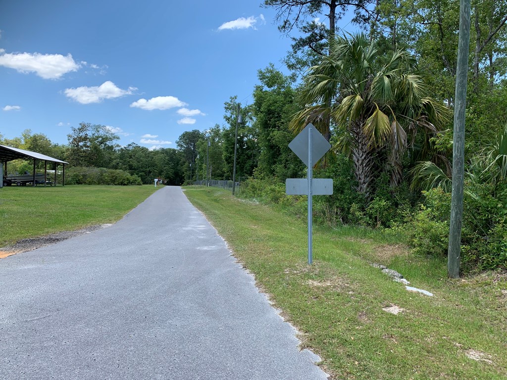 7109 Doc Whitfield Road Wewahitchka, FL 32465 - Photo 2 of 4