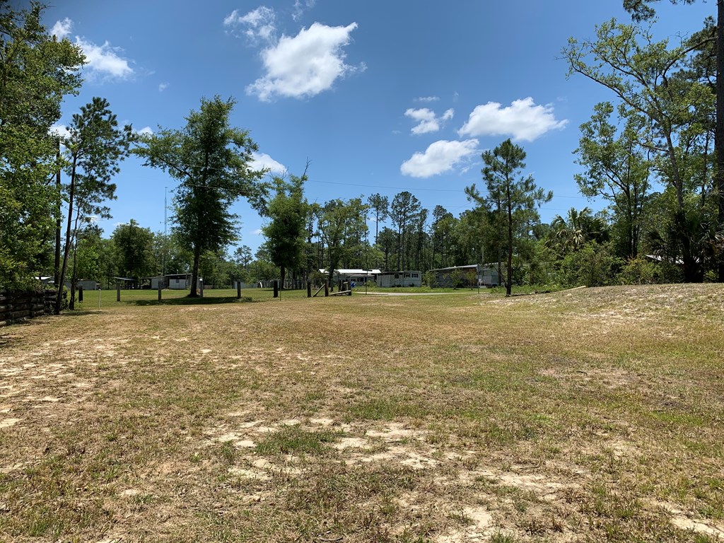 7109 Doc Whitfield Road Wewahitchka, FL 32465 - Photo 3 of 4