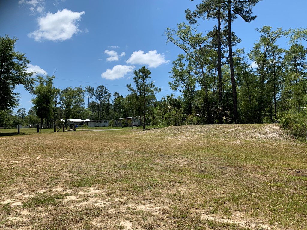 7109 Doc Whitfield Road Wewahitchka, FL 32465 - Photo 4 of 4