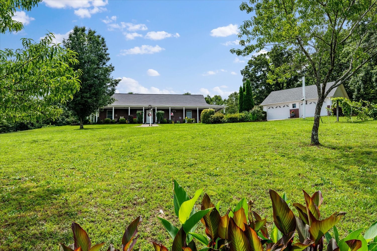 124 Napier Road Hohenwald, TN 38462 - Photo 4 of 83