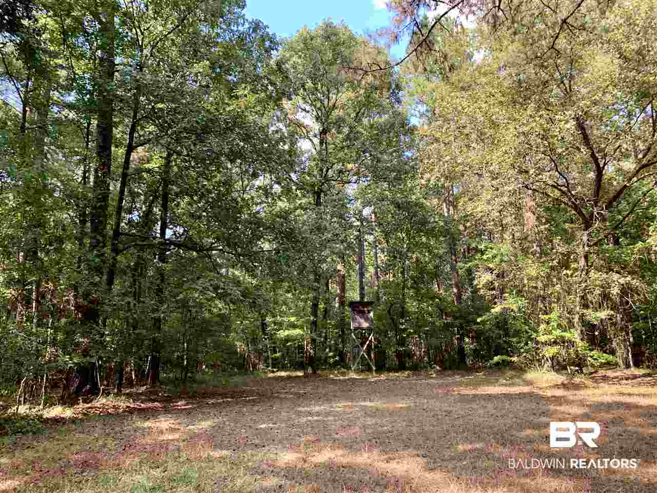 0 Holly Creek Road Stockton, AL 36579 - Photo 20 of 50